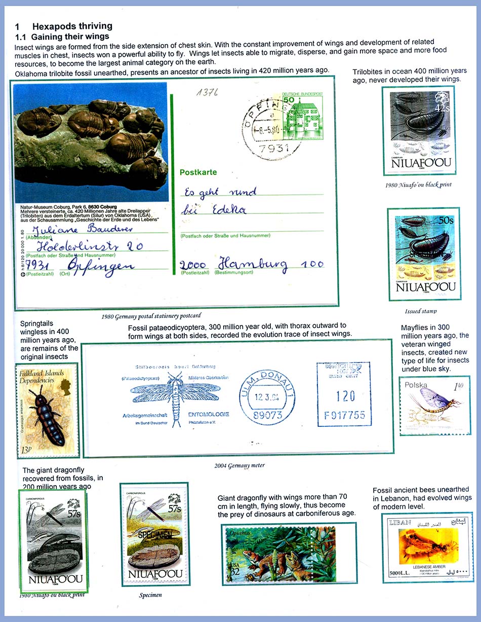 Exhibit Page