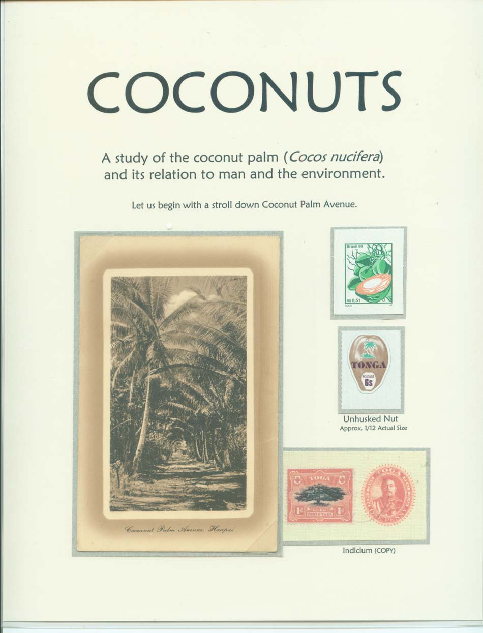 COCONUTS