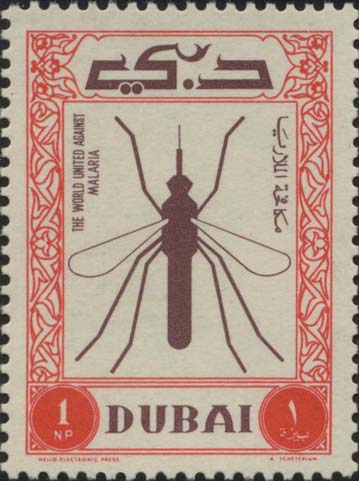 Dubai Scott 23