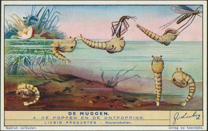 Image Of Stamp
