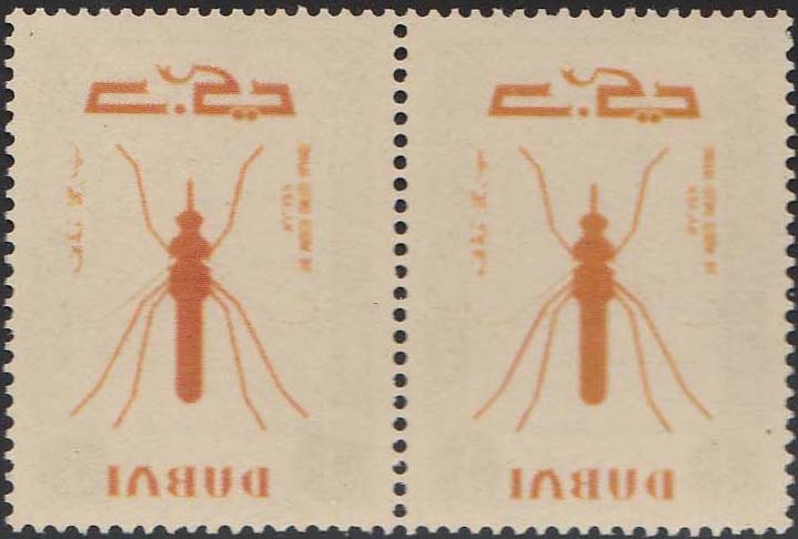 Dubai with Image on Back