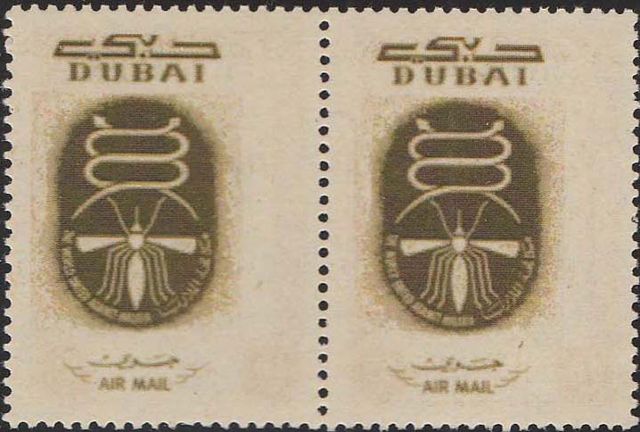 Dubai with Image on Back