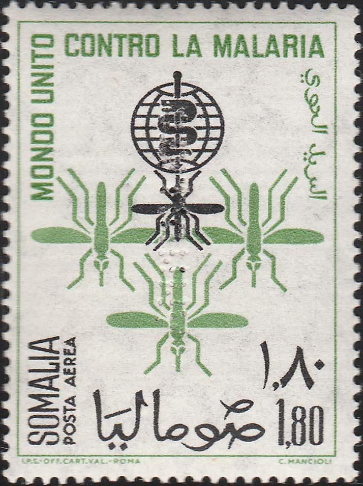 Somalia Specimen - Front