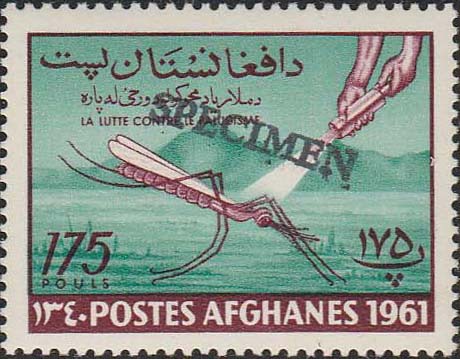 Afghanistan 519 Specimen
