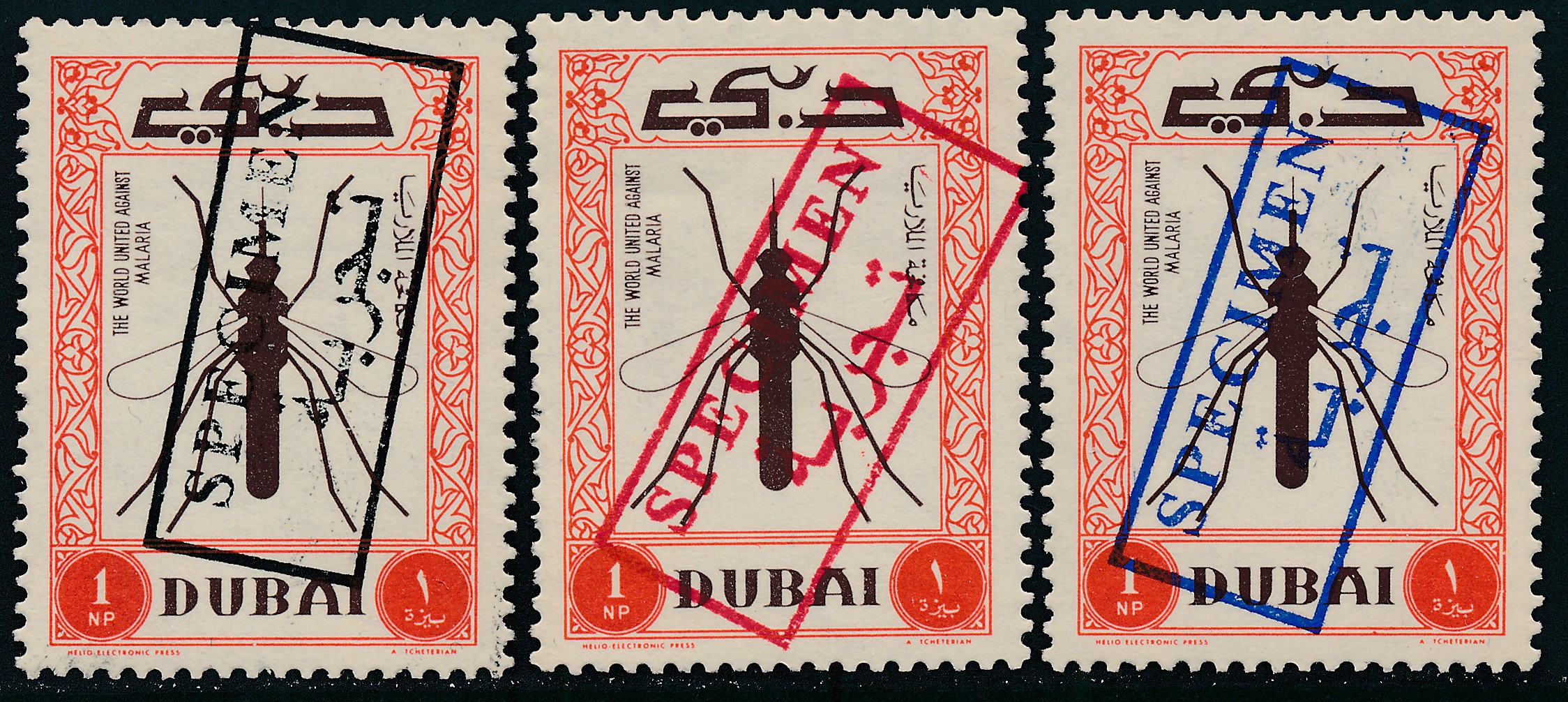 Dubai_Dubius_Specimens