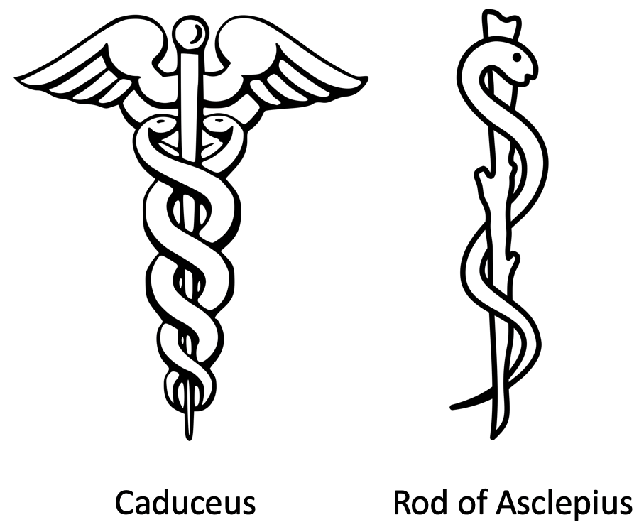 Caduceus